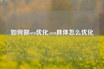 如何做seo优化,seo具体怎么优化