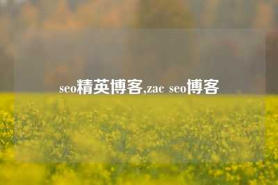 seo精英博客,zac seo博客