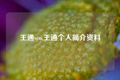 王通seo,王通个人简介资料