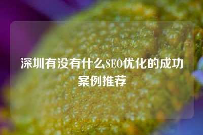 深圳有没有什么SEO优化的成功案例推荐