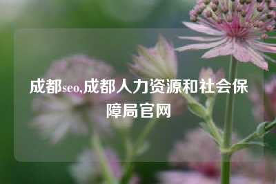 成都seo,成都人力资源和社会保障局官网