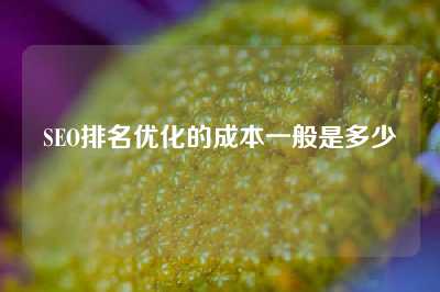 SEO排名优化的成本一般是多少