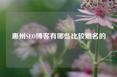 惠州SEO博客有哪些比较知名的