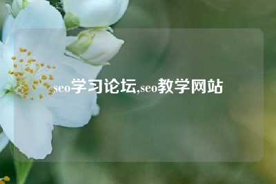 seo学习论坛,seo教学网站