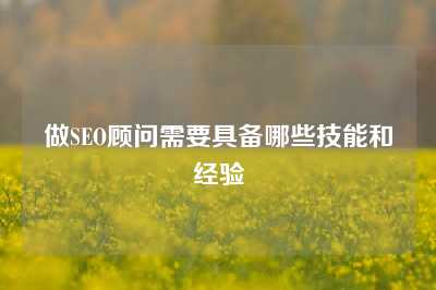 做SEO顾问需要具备哪些技能和经验