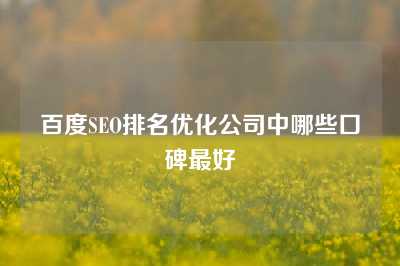 百度SEO排名优化公司中哪些口碑最好