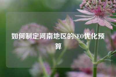 如何制定河南地区的SEO优化预算