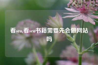 看seo,看seo书籍需要先会做网站吗