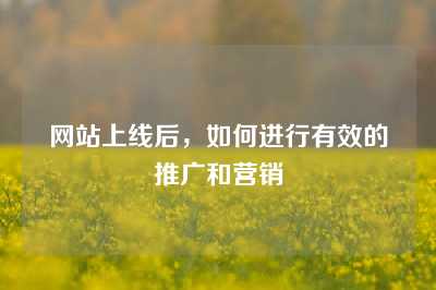 网站上线后，如何进行有效的推广和营销