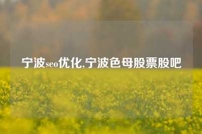 宁波seo优化,宁波色母股票股吧