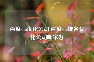 百度seo优化公司,百度seo排名优化公司哪家好