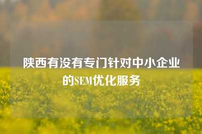 陕西有没有专门针对中小企业的SEM优化服务