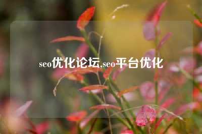 seo优化论坛,seo平台优化