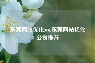 东莞网站优化seo,东莞网站优化公司推荐