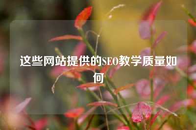 这些网站提供的SEO教学质量如何