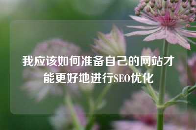 我应该如何准备自己的网站才能更好地进行SEO优化