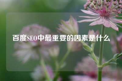 百度SEO中最重要的因素是什么