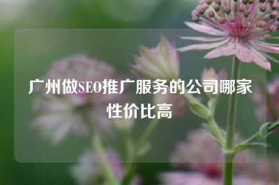 广州做SEO推广服务的公司哪家性价比高