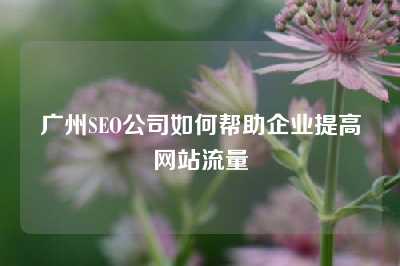 广州SEO公司如何帮助企业提高网站流量