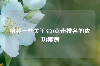 给我一些关于SEO点击排名的成功案例