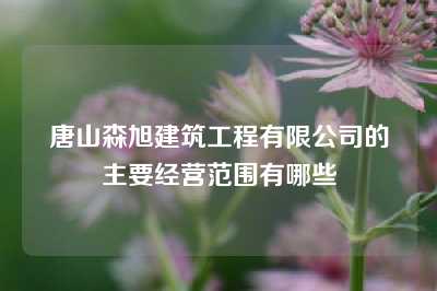 唐山森旭建筑工程有限公司的主要经营范围有哪些