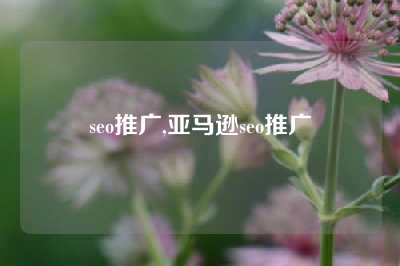 seo推广,亚马逊seo推广