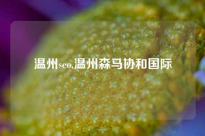 温州seo,温州森马协和国际