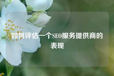 如何评估一个SEO服务提供商的表现