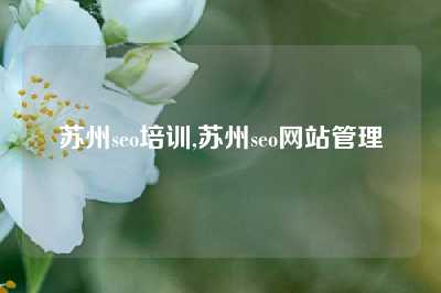 苏州seo培训,苏州seo网站管理