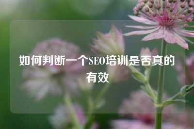 如何判断一个SEO培训是否真的有效