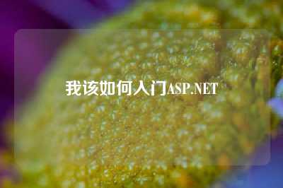 我该如何入门ASP.NET