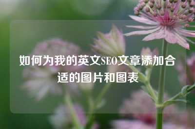 如何为我的英文SEO文章添加合适的图片和图表