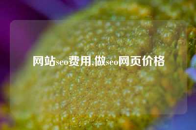 网站seo费用,做seo网页价格