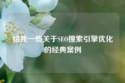 给我一些关于SEO搜索引擎优化的经典案例