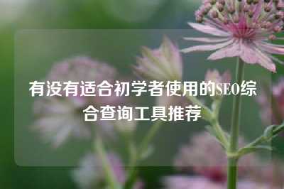 有没有适合初学者使用的SEO综合查询工具推荐