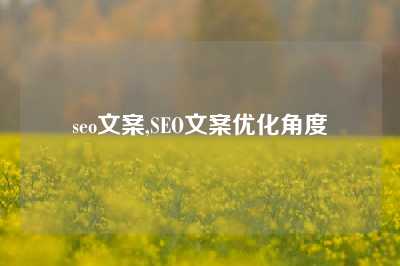 seo文案,SEO文案优化角度