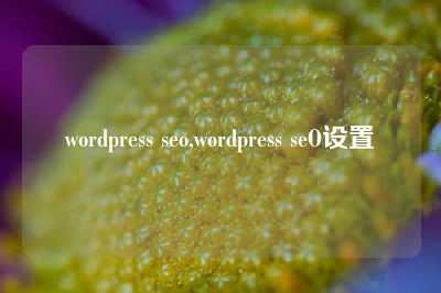 wordpress seo,wordpress seO设置