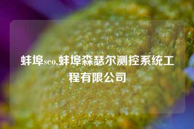 蚌埠seo,蚌埠森瑟尔测控系统工程有限公司