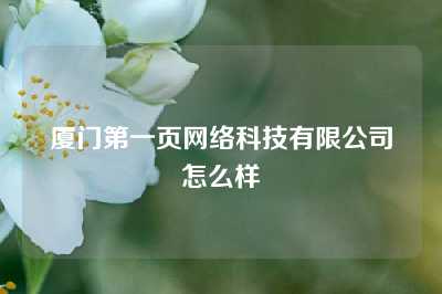 厦门第一页网络科技有限公司怎么样