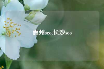 惠州seo,长沙seo