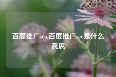 百度推广seo,百度推广seo是什么意思