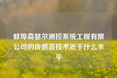 蚌埠森瑟尔测控系统工程有限公司的传感器技术处于什么水平