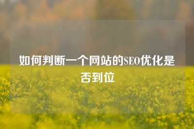 如何判断一个网站的SEO优化是否到位