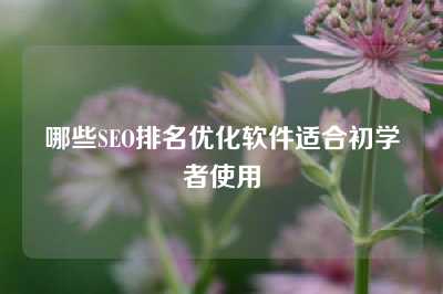 哪些SEO排名优化软件适合初学者使用