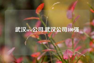 武汉seo公司,武汉公司100强