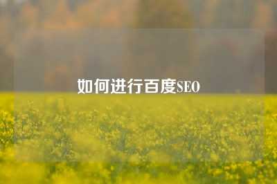 如何进行百度SEO