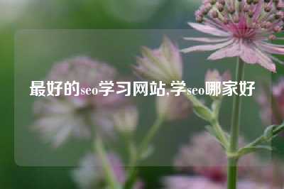 最好的seo学习网站,学seo哪家好