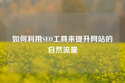 如何利用SEO工具来提升网站的自然流量