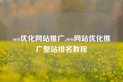 seo优化网站推广,seo网站优化推广整站排名教程