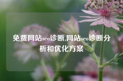 免费网站seo诊断,网站seo诊断分析和优化方案